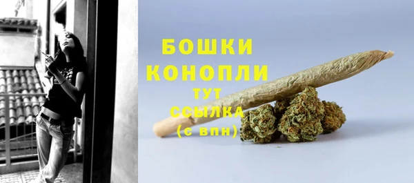 молекула духа Надым