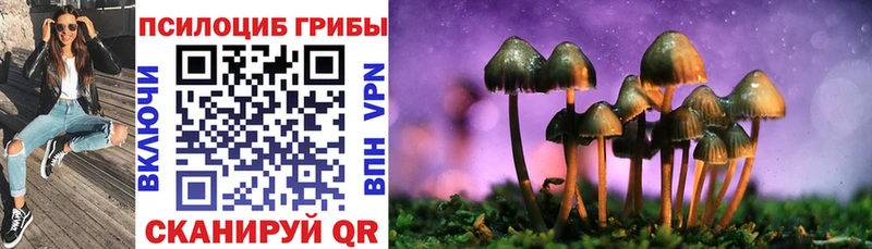 МЕГА ссылки Урюпинск Псилоцибиновые грибы GOLDEN TEACHER